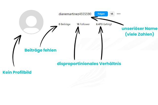 gefälschtes Instagram Profil